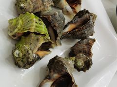 -常家活海鲜小吃(仅一家无分店)