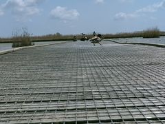 -盐城丹顶鹤湿地生态旅游区