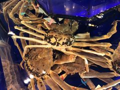 -蟹道乐(道顿堀本店)