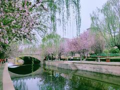 -元大都城垣遗址公园