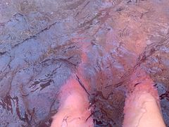 -春晖园度假酒店温泉