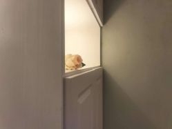 -蕾蕾美颜美容美体