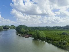 -东寨港红树林旅游区