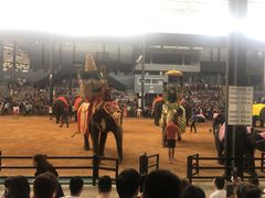 -东芭乐园