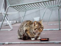 -UNI UNI(环亚凯瑟琳店)