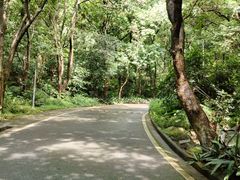 -火炉山森林公园