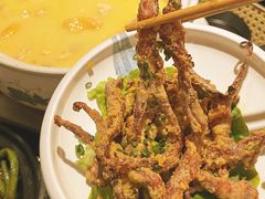 -金龙·打边炉(武进路店)