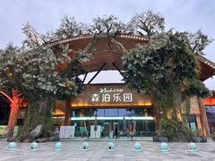 -杭州开元森泊度假乐园