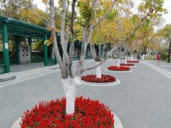 -西海子公园