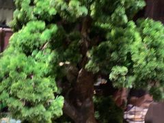 -重庆德庄火锅(映月湖环宇城店)
