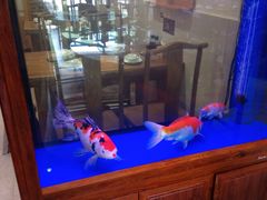 -东来菜馆•手抓海鲜家常菜•海鲜锅贴(鸽子窝店)
