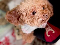 -林记兔头(特色店)