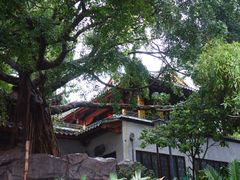 -乌山风景区