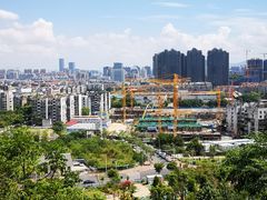 -金鸡山公园