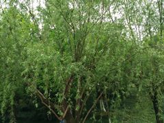 -杭州城北体育公园