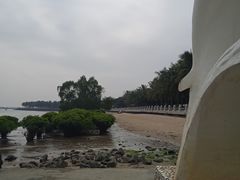 -霞山观海长廊