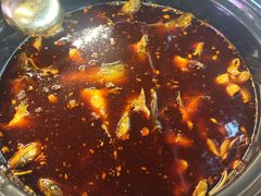 -金海椒罐罐鲢鱼(东方桂苑店)
