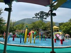 -苏州乐园森林水世界