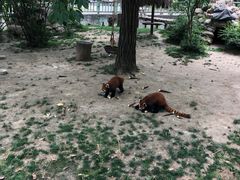 -西安秦岭野生动物园