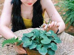 -素山寺森林公园