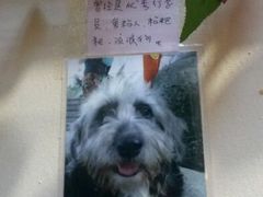android_upload_pic-老宅原住民沙茶面精品小吃(龙头路店)