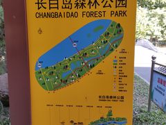 -长白岛森林公园