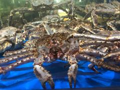-神洲四海大酒楼(王府井澳门中心店)