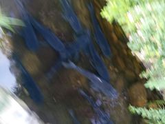 -万景饭店·鱼街农家菜