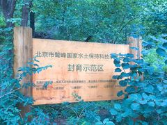 -北京鹫峰国家森林公园
