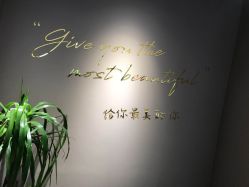 -爱维丽