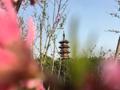 -上海市龙华烈士陵园