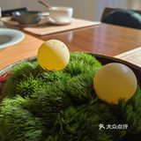 沉浸在素食的世界