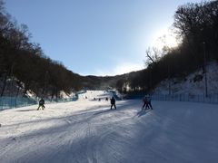 -亚布力新体委滑雪场