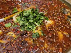 麻辣江团-纳家楼·地道陕菜(劳动路店)