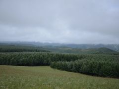 -乌兰布统草原
