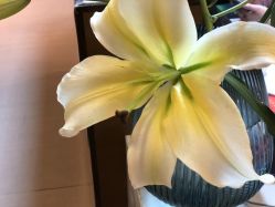 -FineYoga梵音瑜伽·普拉提