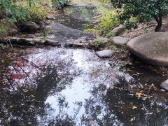 -白马涧龙池景区