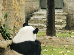 -成都动物园