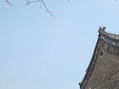 -天津大悲禅院