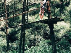 -梦幻奥陶纪景区