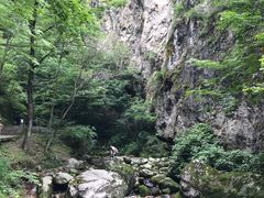 -牛背梁国家森林公园
