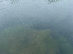 -亚龙湾海底世界