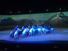 -cavalia·舞马