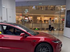 -TESLA 特斯拉(郑州正弘城体验店)