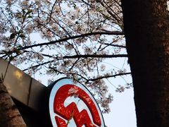 -杨高南路(地铁站)