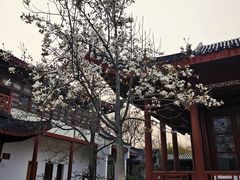 -堤角公园