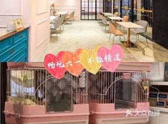 和萌宠的亲密接触，六一带娃来玩