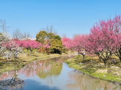 -花开海上生态园