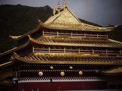 -四川郎木寺镇
