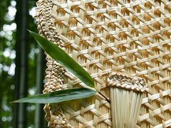 -陈家山荷花公园